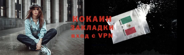 mdpv Белокуриха