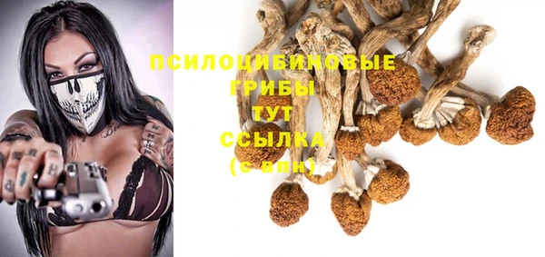 первитин Беломорск