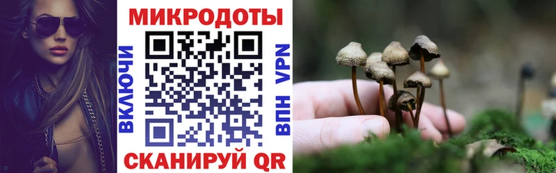 Галлюциногенные грибы Magic Shrooms  Павловск 